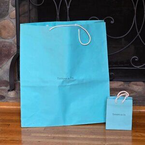 Two Tiffany shopping bags - large and mini